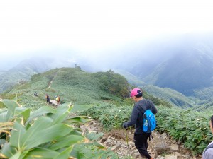 Rakuten team on Mt. Tanigawa, 2015