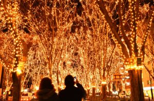 Viewing Christmas lights like these is another popular pastime in Japan.
