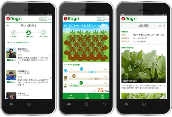 After logging into the Ragri remote farming platform, users can choose the vegetables they want, the farmers they want to grow them and also monitor and receive updates on their progress. They can also participate in the cultivation by requesting watering, fertilizer application or weeding.